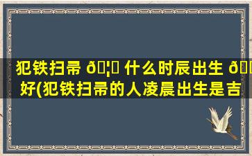 犯铁扫帚 🦍 什么时辰出生 🌷 好(犯铁扫帚的人凌晨出生是吉还是凶)